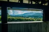 2165 Waterfall Way, Thora, NSW 2454-Image