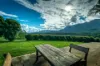 2165 Waterfall Way, Thora, NSW 2454-Image