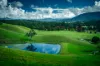 2165 Waterfall Way, Thora, NSW 2454-Image