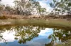 218 Rifle Range Road, Uralla, NSW 2358-Image