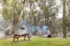 218 Rifle Range Road, Uralla, NSW 2358-Image