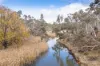 218 Rifle Range Road, Uralla, NSW 2358-Image
