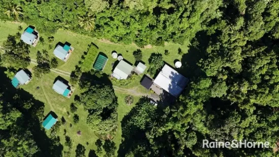 22 Spurwood Road, COW BAY, Daintree, Qld 4873