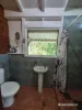 22 Spurwood Road, COW BAY, Daintree, Qld 4873-Image