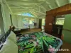 22 Spurwood Road, COW BAY, Daintree, Qld 4873-Image
