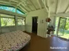 22 Spurwood Road, COW BAY, Daintree, Qld 4873-Image