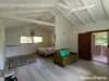 22 Spurwood Road, COW BAY, Daintree, Qld 4873-Image