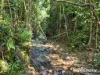22 Spurwood Road, COW BAY, Daintree, Qld 4873-Image