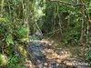 22 Spurwood Road, COW BAY, Daintree, Qld 4873-Image