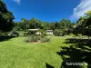 22 Spurwood Road, COW BAY, Daintree, Qld 4873-Image