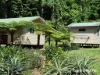 22 Spurwood Road, COW BAY, Daintree, Qld 4873-Image