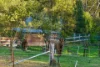 220 Narranghi Road, Braidwood, NSW 2622-Image