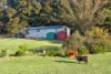 220 Narranghi Road, Braidwood, NSW 2622-Image