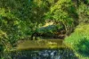 222 Hewitt Road, Booerie Creek, NSW 2480-Image