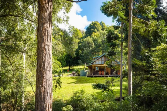 222 Worlands Road, Tanja, NSW 2550