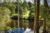 222 Worlands Road, Tanja, NSW 2550-Image