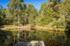 222 Worlands Road, Tanja, NSW 2550-Image