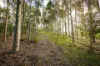 222 Worlands Road, Tanja, NSW 2550-Image