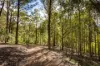 222 Worlands Road, Tanja, NSW 2550-Image