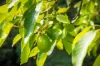 222 Worlands Road, Tanja, NSW 2550-Image