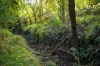 222 Worlands Road, Tanja, NSW 2550-Image