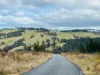 224 Blomfield Road, Yarrowitch, NSW 2354-Image