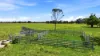 224 Sherrys Lane, Cowper NSW 2460-Image