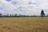 225 Beils Road, Inverlaw QLD 4610-Image