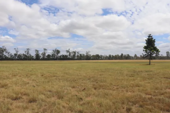225 Beils Road, Inverlaw QLD 4610-Image