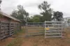 225 Beils Road, Inverlaw QLD 4610-Image