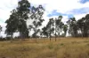 225 Beils Road, Inverlaw QLD 4610-Image