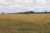 225 Beils Road, Inverlaw QLD 4610-Image