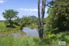 225 Tyalgum Road, Eungella, NSW 2484-Image