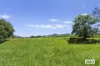225 Tyalgum Road, Eungella, NSW 2484-Image