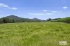 225 Tyalgum Road, Eungella, NSW 2484-Image