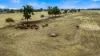 226 Blamey Road, Katunga, Vic 3640-Image
