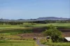227 Olletts Road, Habana, Qld 4740