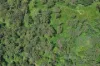 227 Olletts Road, Habana, Qld 4740-Image