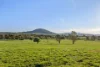 228 Wallace Street, Braidwood, NSW 2622