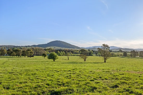 228 Wallace Street, Braidwood, NSW 2622