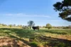 228 Wallace Street, Braidwood, NSW 2622-Image