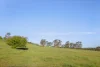 228 Wallace Street, Braidwood, NSW 2622-Image