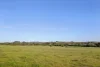 228 Wallace Street, Braidwood, NSW 2622-Image