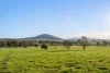 228 Wallace Street, Braidwood, NSW 2622-Image