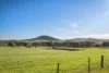 228 Wallace Street, Braidwood, NSW 2622-Image