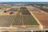 229 Morgan Road, Cobdogla SA 5346-Image