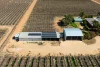 229 Morgan Road, Cobdogla SA 5346-Image