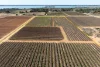 229 Morgan Road, Cobdogla SA 5346-Image