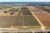 229 Morgan Road, Cobdogla SA 5346-Image