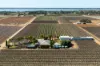229 Morgan Road, Cobdogla SA 5346-Image